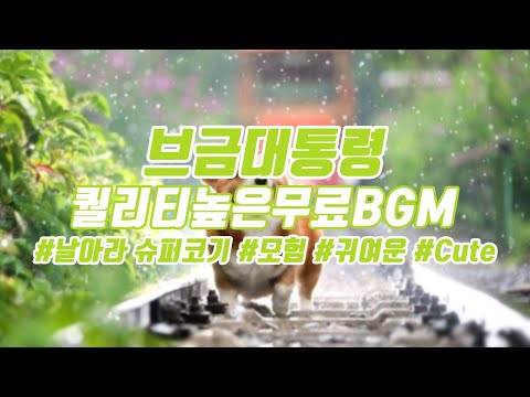 [브금대통령](모험/귀여운/Cute) 날아라 슈퍼코기/Flying SuperCorgi [무료음악/브금/Royalty Free Music]