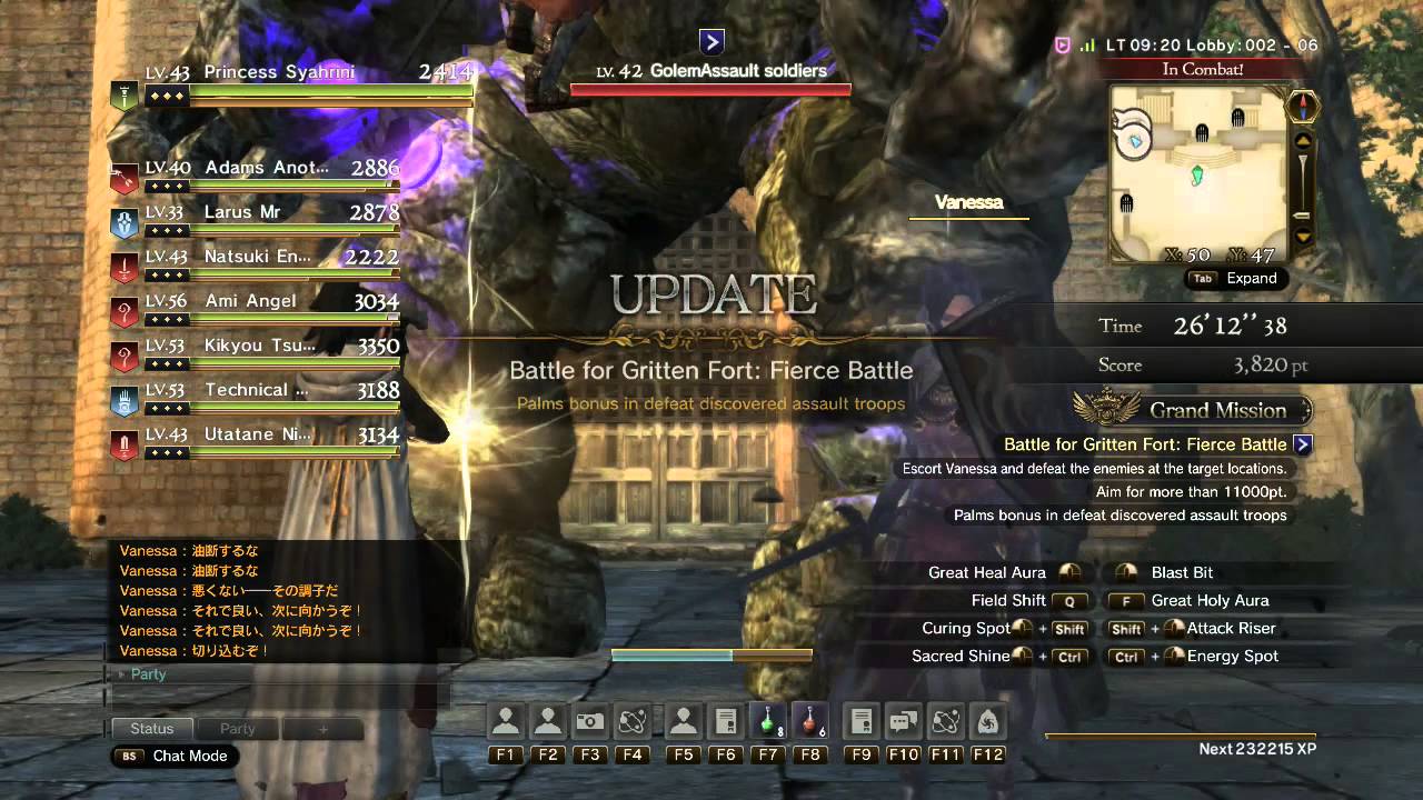 Raid Party Lv 40 Dragon's Dogma Online 