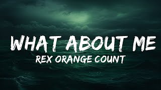 Rex Orange County - What About Me (Lyrics)  | 25 Min