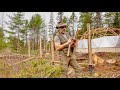 CREATING A REMOTE FOREST GARDEN | Moose Fence | Greenhouse | Solar Shed