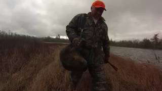 THE GOREHAM BEAVER RETRIEVER