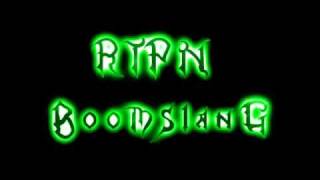 RTPN_Boomslang