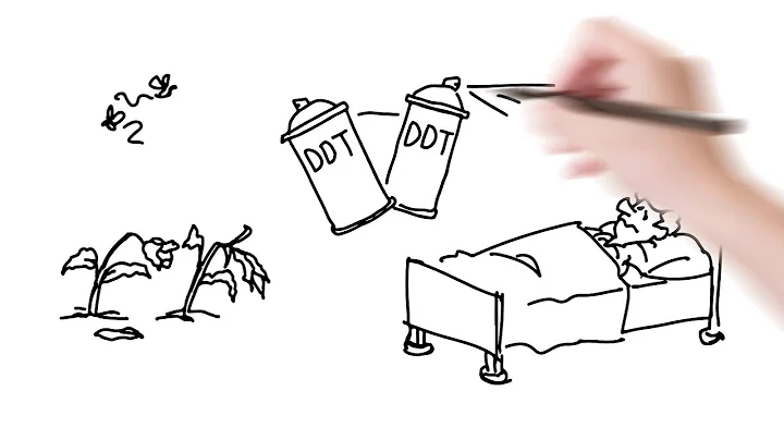 Hazard, Risk & Safety - Understanding Risk Assessment, Management and Perception