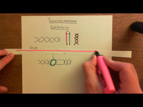 Topoisomerase Inhibitors Part 1