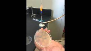 Famous half plate streak Wealth