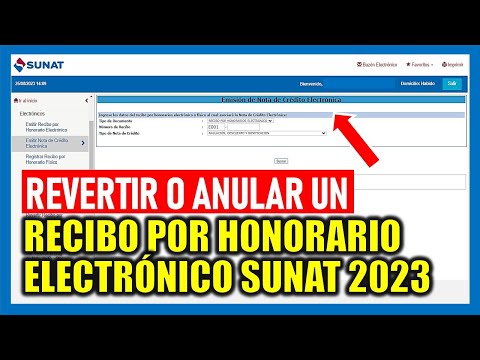 ¿Cómo revertir o