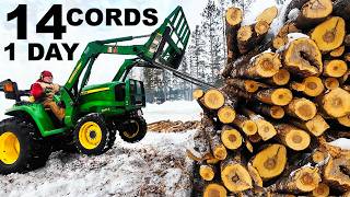 14 FULL CORDS FIREWOOD PROCESSED LESS THAN A DAY!