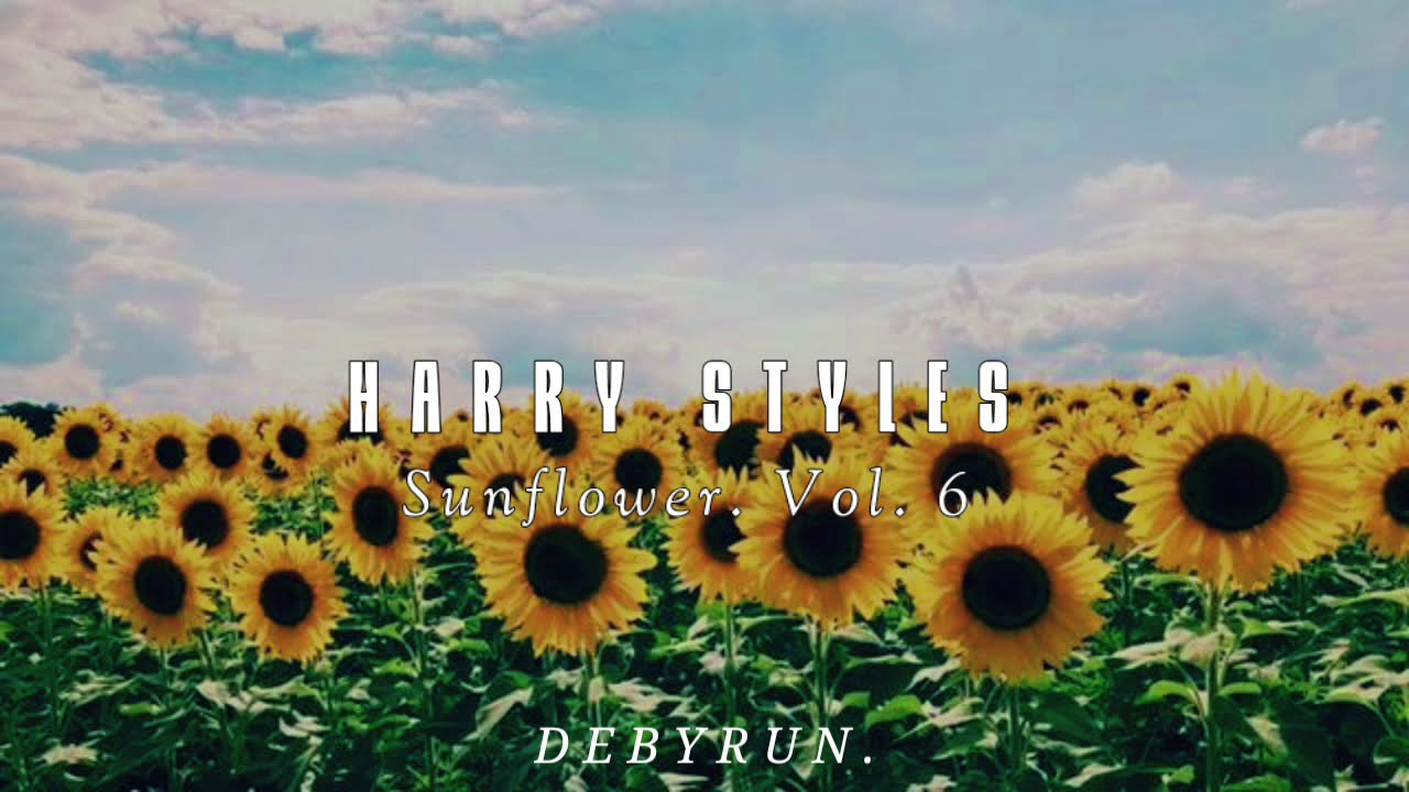 Harry Styles //Sunflower. vol 6// (lyrics) YouTube