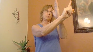 Lesson 8 Chapter 16 Video Assignment