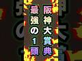 【阪神大賞典】伝説の馬はこいつだ‼️#競馬 #買い目 #中央競馬予想 #競馬予想 #阪神大賞典 #アドマイヤテラ