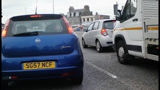 Road rage and cow-coloured cat