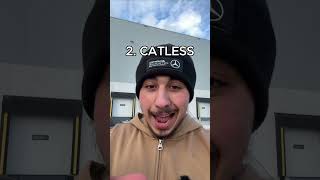 Catless lowkey…👀 #amg #mercedes #e53 #catless #downpipe #customplates