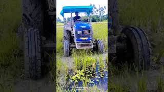 Sonalika Tractor Shorts