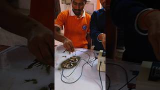 Electro Magnetic Field #Experiment