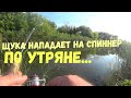 ЭТОТ ТЕЙЛ-СПИННЕР ЩУКА НЕ ПРОПУСКАЕТ МИМО/ РЕКА "ЧИР"