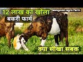 12 लाख का बकरी फार्म खोला 3 महीने बाद क्या बोला | visit sangwan agro farm hariyana pt2 | pkraj vlogs