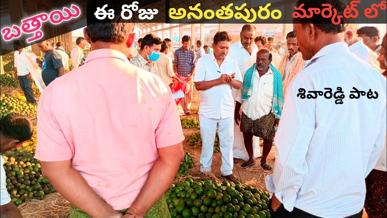 ఈ రోజు బత్తాయి అనంతపురం మార్కెట్ #anantapuram #market #battaimarket