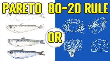 Pareto Principle - The 80-20 Rule - In-Depth Discussion