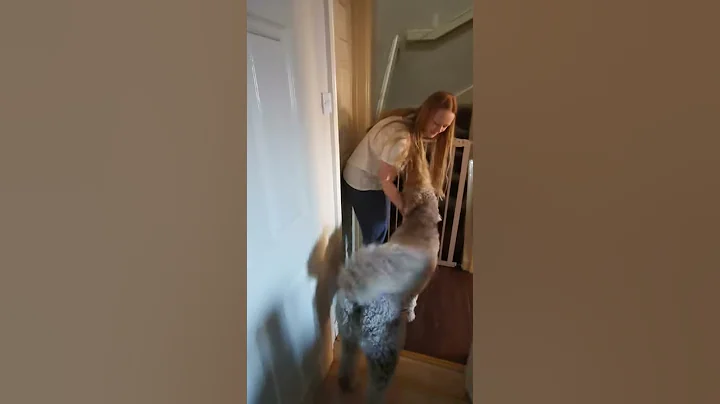 Door manners