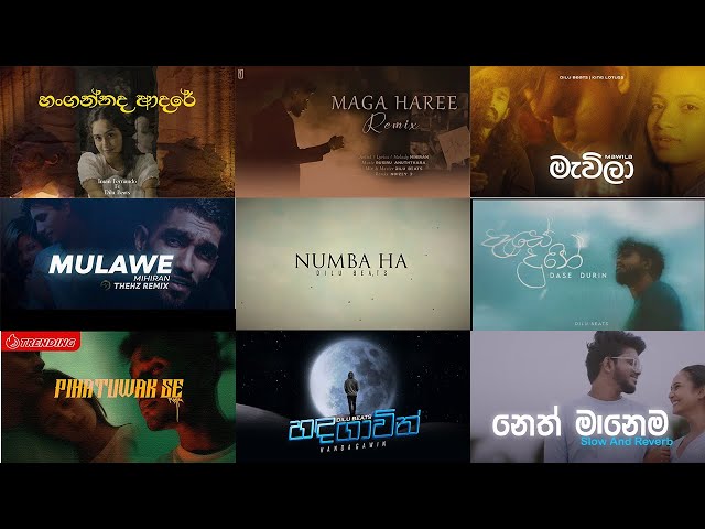 Best Sinhala Song Collection - මනෝපාරකට | Mulawe #songcollection class=