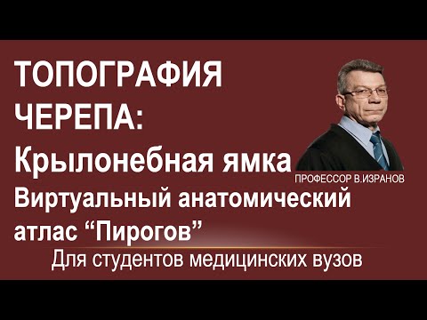 Топография черепа: крылонебная ямка.