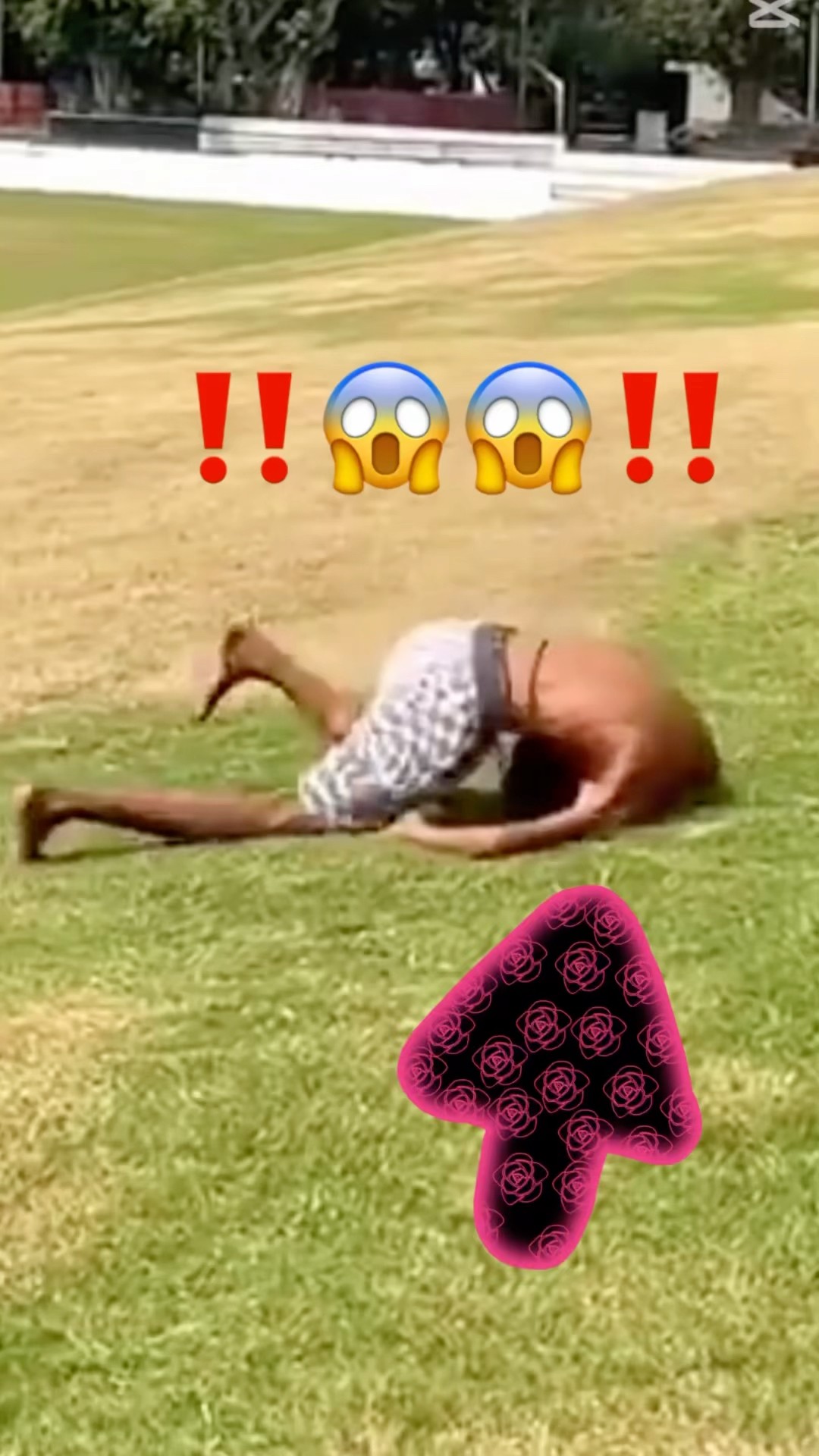Backflip challenge? #mrlitto