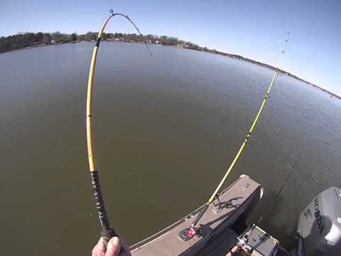 Video Catfishing lake norman