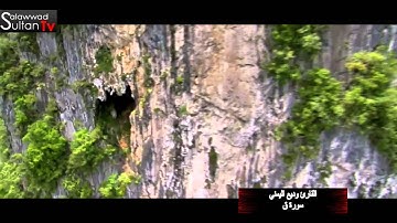 سورة ق القارئ وديع اليمني I قناة سلطان العواد