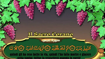 IL SACRO CORANO 80  'Abasa SHEIKH  Hatem Farid   سورة عبس للقاريْ الشيخ حاتم فريد الواعر