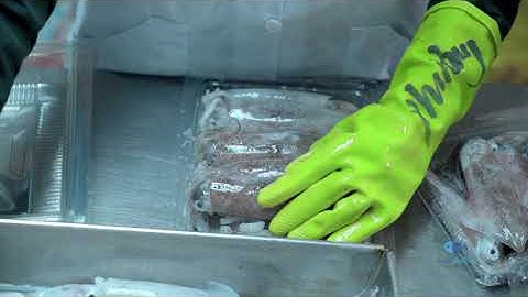 Quy trình cấp đông mực tươi tại #AnGiSeafood