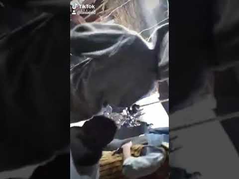 اننا صونت اتخنت السروجي