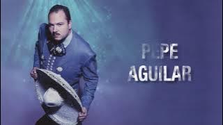 Pepe Aguilar - Perdóname (Letra Oficial)