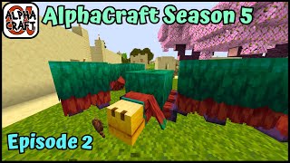 AlphaCraft Season 5 Episode 2