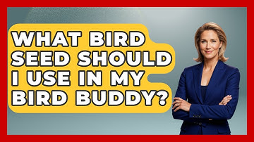 What Bird Seed Should I Use In My Bird Buddy? - Bird Watching Diaries