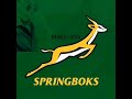 Phambili nge war #instrumental #springboks