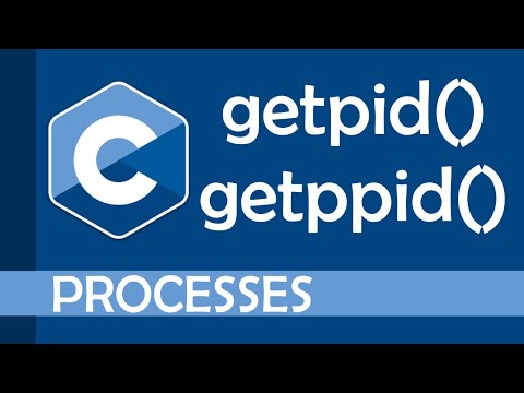 Video: Hvad er proces-id'et for init?