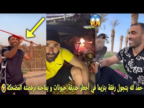 عبد الرزاق حمد لله يتجول رفقة كريم بنزيما في أخطر حديقة حيونات في السعودية😳و يفاجئه برقصته المضحكة🤣