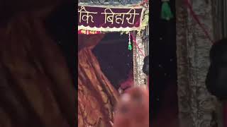 Banke Bihari Darshan 🦚 | Vrindavan Dham #Shorts