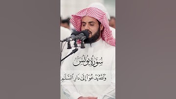 سورة يونس الآية 25 بصوت رعد الكردي | Surah Yunus Ayat 25 oleh Raad Al Kurdi