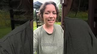 Replying to @🤎 Kelley Agim 🤎 absolutely love the midwest 🌦️ #lauxfamilyfarm #farmstand