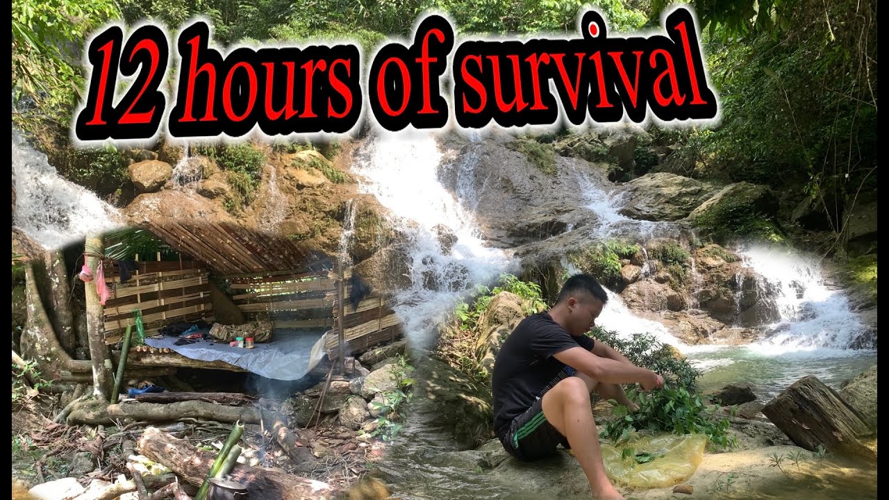 Surviving 24 Hours in Forest House I Built - Insane Challenge - YouTube