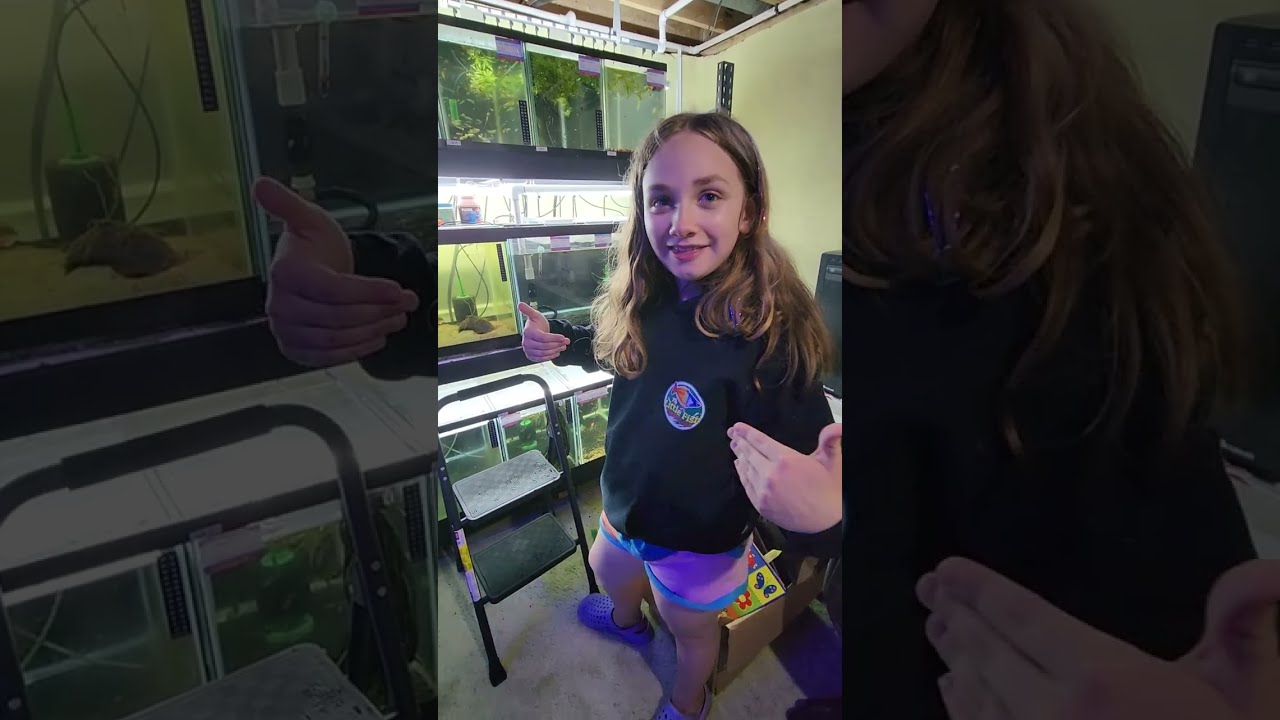 Our First Video!! Fish Room Tour!