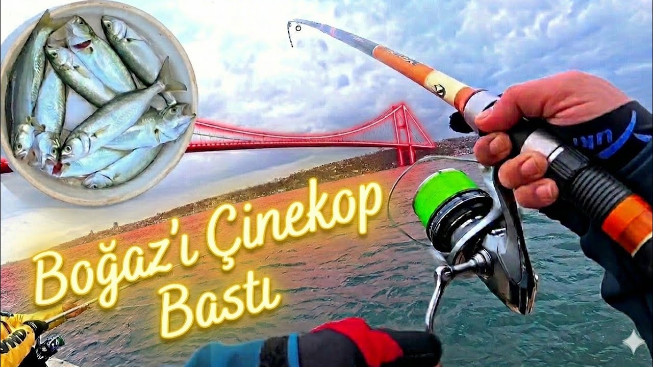 BOĞAZ'DA BALIK BEREKETİ - İSTANBUL BOĞAZI ÇİNEKOP | SARIKANAT AVI - YENİ MAKİNAMI DENEDİM