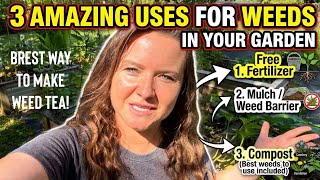 3 Amazing Free Uses For Weeds in Your Garden! Best Way to Make Weed Tea Fertilizer