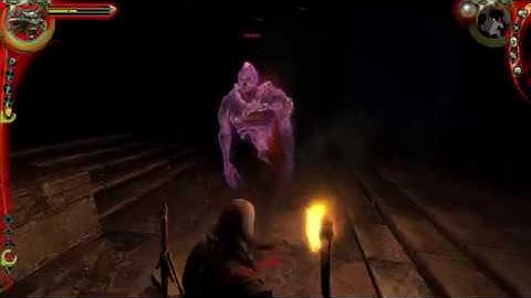 The Witcher Enhanced Edition Directors Cut Raven