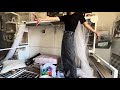 一緒に汚部屋を片付けよう🎵part2