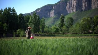 Recorriendo el campo chino: Convivencia armoniosa | Documental