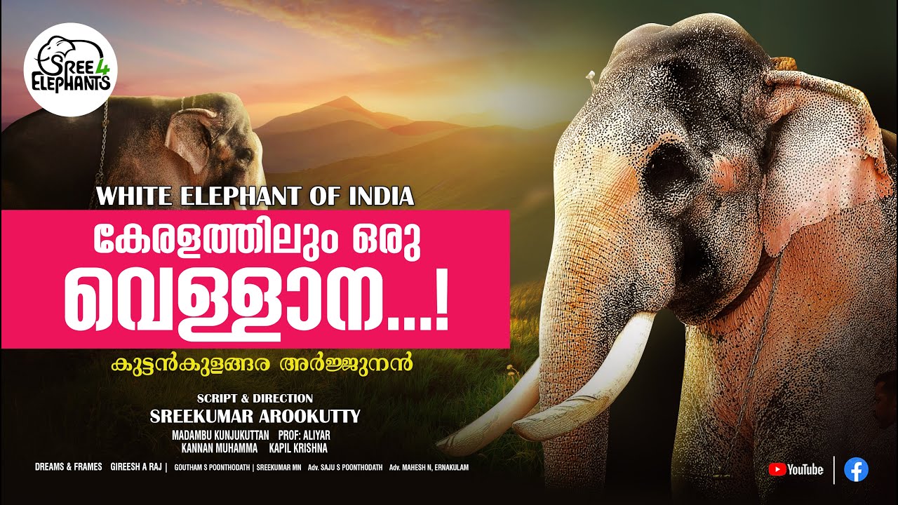 മലയാള നാട്ടിലെ വെള്ളാന..കുട്ടൻകുളങ്ങര അർജ്ജുനന്റെ വീരഗാഥകൾ- EPISODE 03