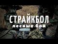 Страйкбол | Лесные бои