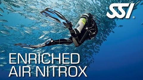 What is Nitrox? Free Enriched Air Nitrox Level 2 40%  January 2024